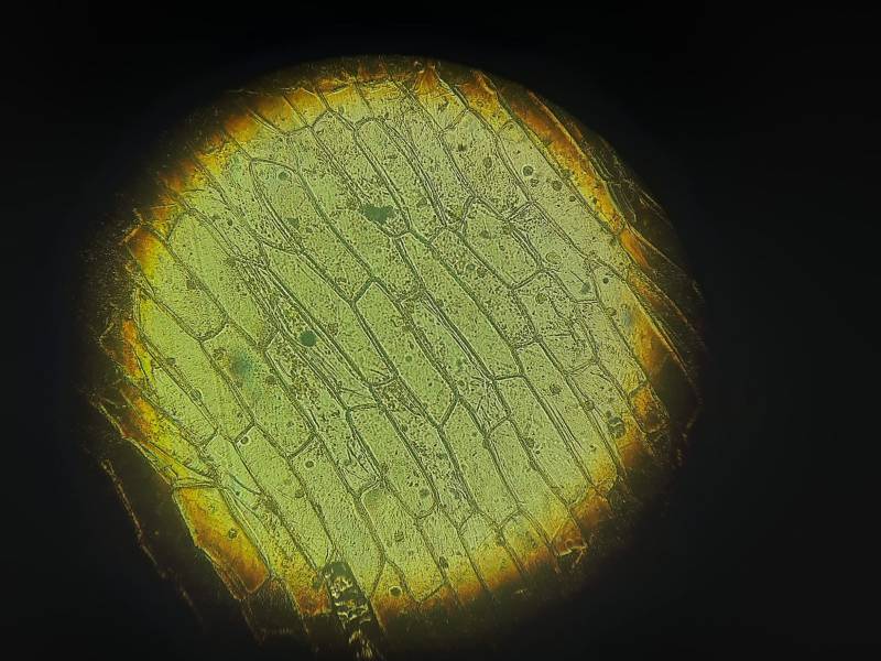 20201007_162227.jpg 20201007_162227.jpg