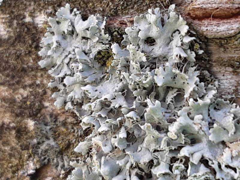 20210414_154730.jpg 20210414_154730.jpg