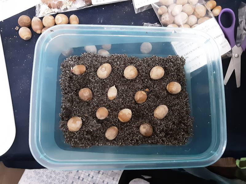 20201122_001547.jpg 20201122_001547.jpg