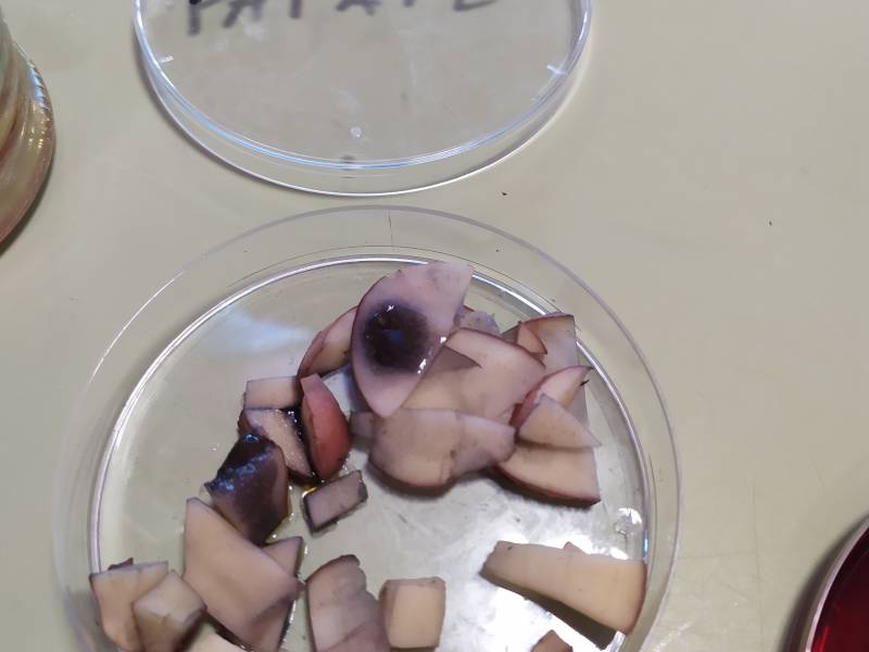 img_20200930_171827.jpg img_20200930_171827.jpg