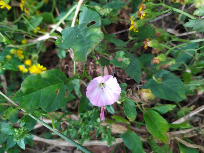 img_20200818_152101.jpg img_20200818_152101.jpg