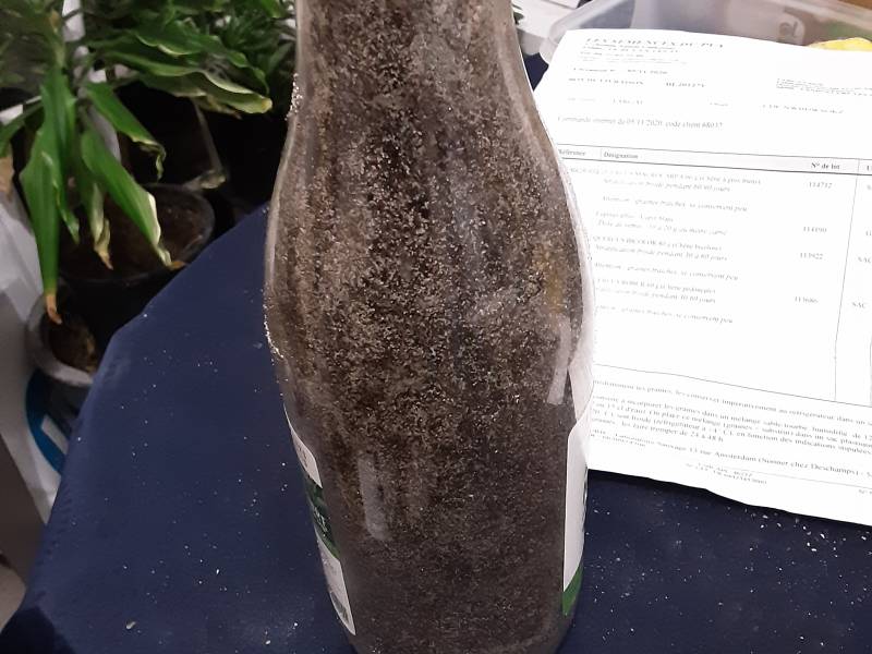 20201122_003004.jpg 20201122_003004.jpg