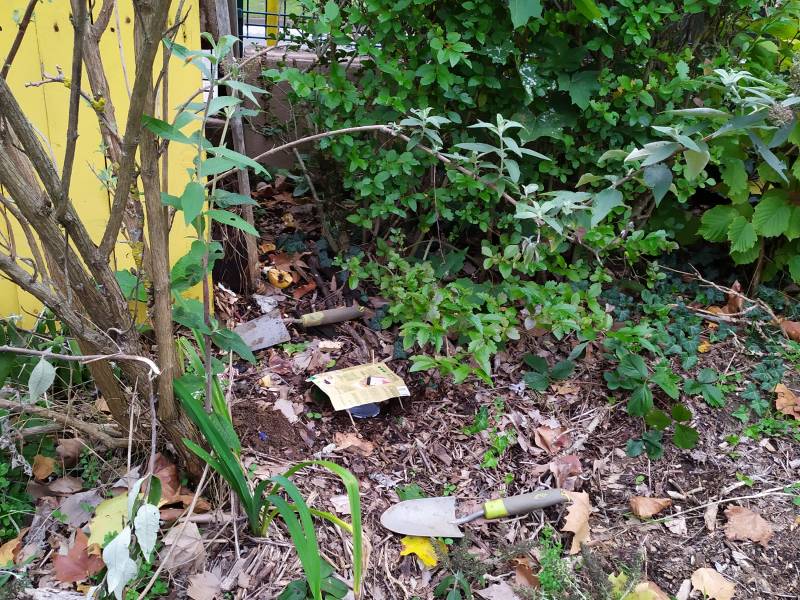 img_20201017_160336.jpg img_20201017_160336.jpg