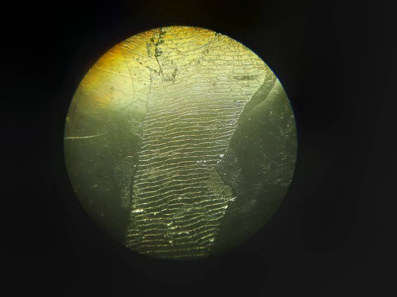 20201007_161848.jpg 20201007_161848.jpg