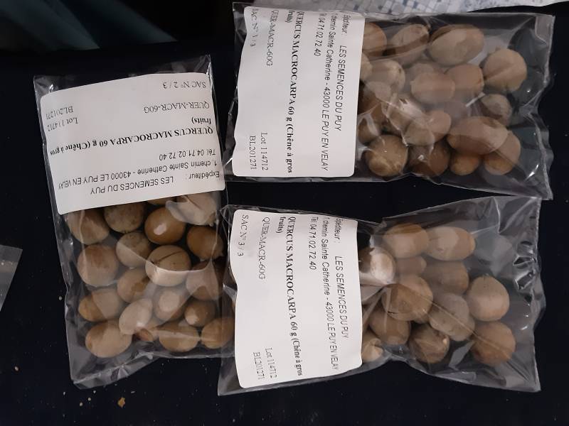 20201122_000530.jpg 20201122_000530.jpg