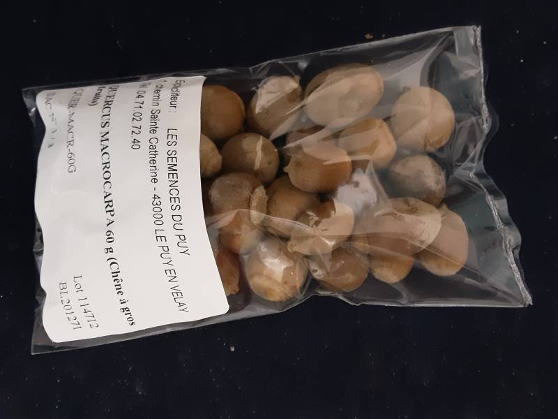 20201122_000511.jpg 20201122_000511.jpg