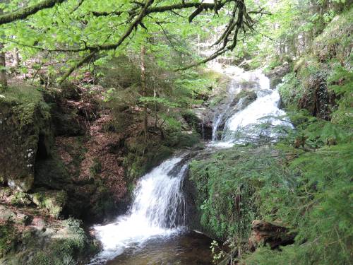 {{:projets:dscn5702.jpg?nolink&500|